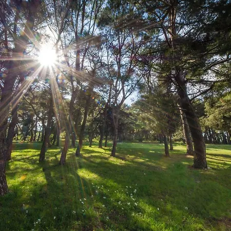 Piccola Pineta Appartamento *