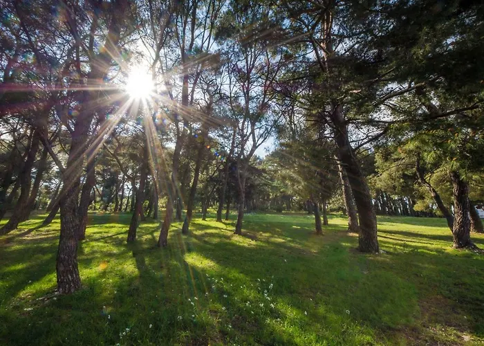 Piccola Pineta 아파트 *